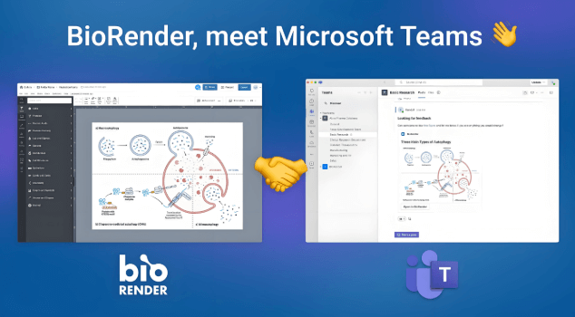 Microsoft Teams助力远程办公
